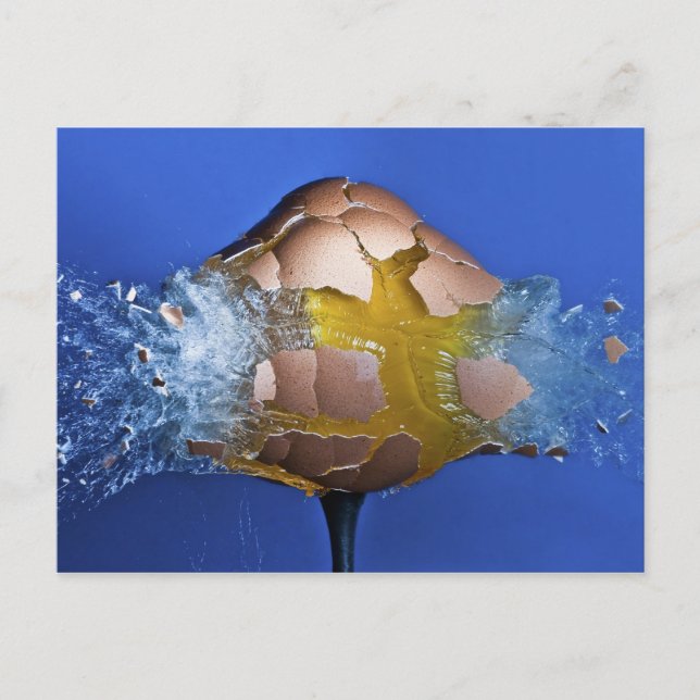 ausnahmsweise postkarte (Vorderseite)