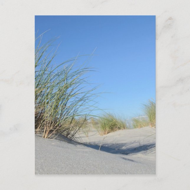 Ausrichtung Postkarte (Vorderseite)