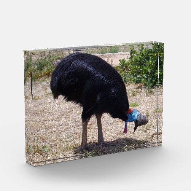 Ausscheider von Bird-of-Prey Fotoblock (Links)