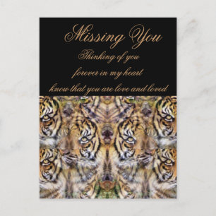 Aussehen_ Postkarte