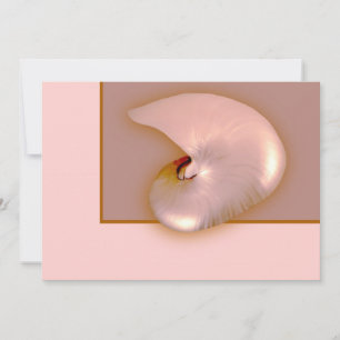 Außen Nautilus