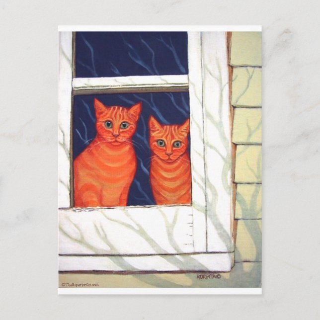 Außen - Orangefarbene Tabby Katzen Postkarte (Vorderseite)