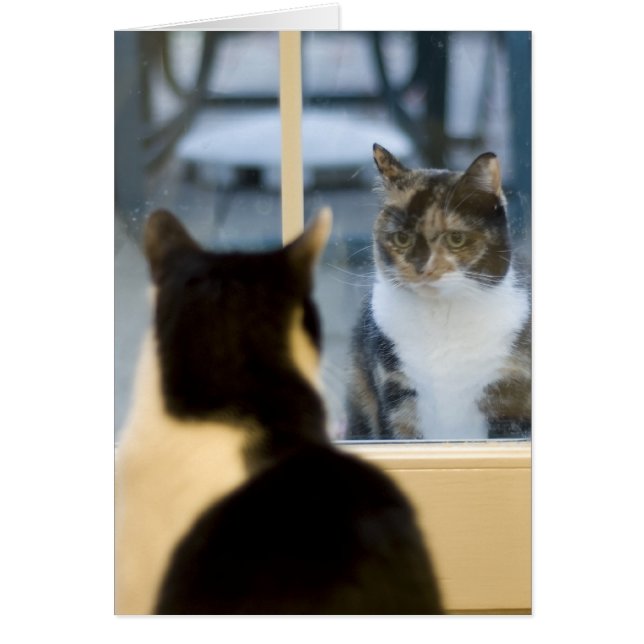 Außenansicht (Vorne)