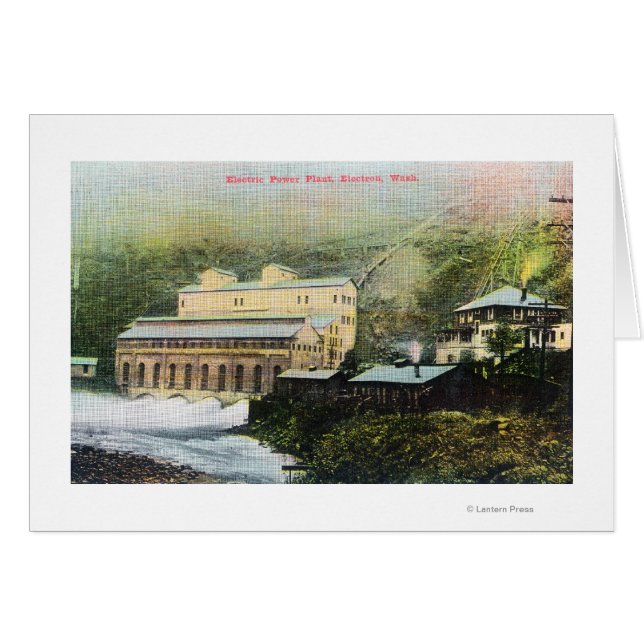 Außenansicht der Pflanze des elektrischen Powers (Vorderseite (Horizontal))