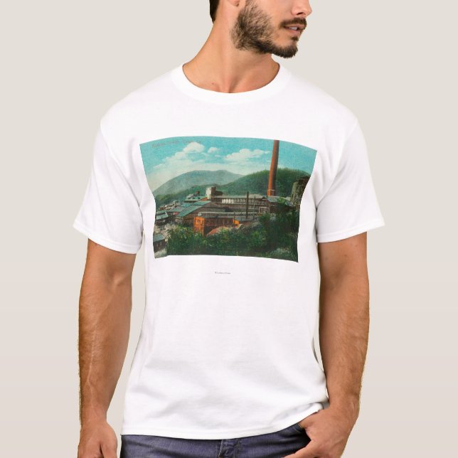 Außenansicht des Balaktala Schmelzers T-Shirt (Vorderseite)