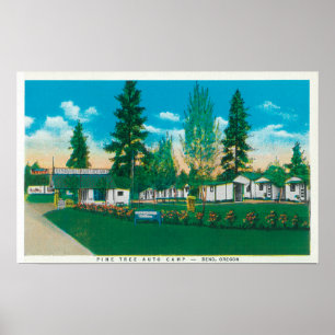 Außenansicht des Kiefern-Baum-Auto-Lagers Poster