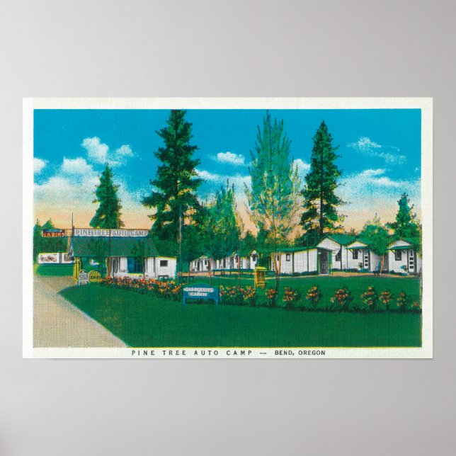 Außenansicht des Pine Tree Auto Camp Poster (Vorne)
