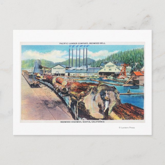 Außenansicht von Pacific Lumber Co, Redwood Postkarte (Vorderseite)