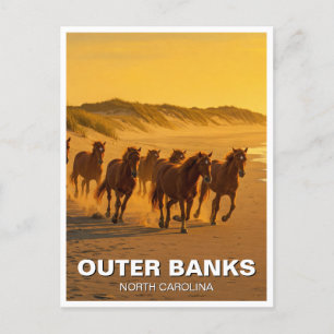 Außenbanks North Carolina Pferde Postkarte