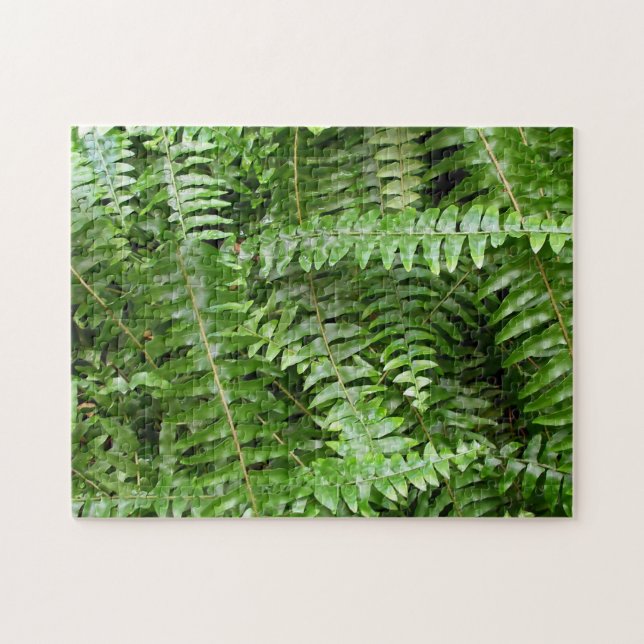 Außengrenzen I Grüne Natur (Horizontal)
