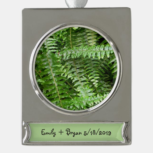 Außengrenzen I Grüne Natur Banner-Ornament Silber (Vorderseite)