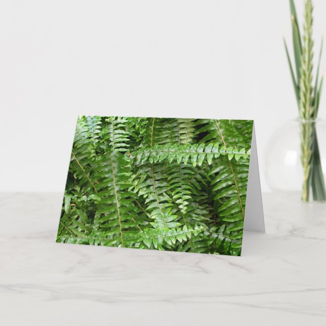 Außengrenzen I Grüne Natur Karte (Vorderseite)