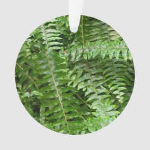 Außengrenzen I Grüne Natur Ornament