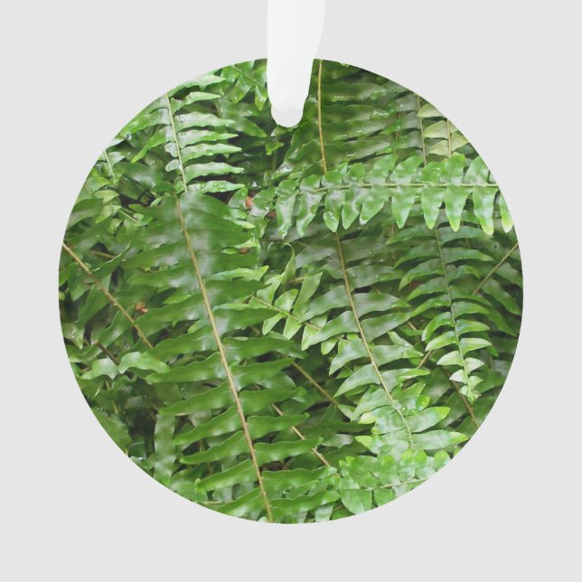 Außengrenzen I Grüne Natur Ornament (Vorderseite)