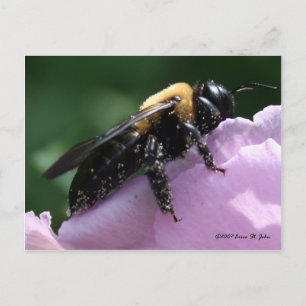 Außer Postkarte
