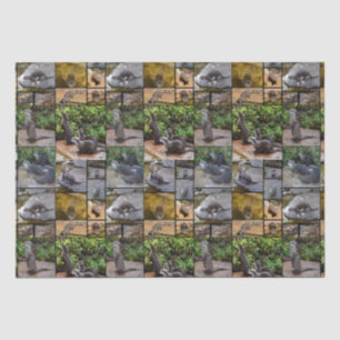 **"Außergewöhnlich erfreulich: Eine Fotogalerie vo Seidenpapier