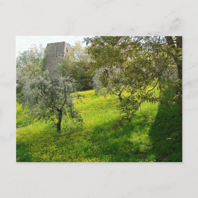 Außerhalb der Mauern von San Gimignano Postkarte (Vorderseite)