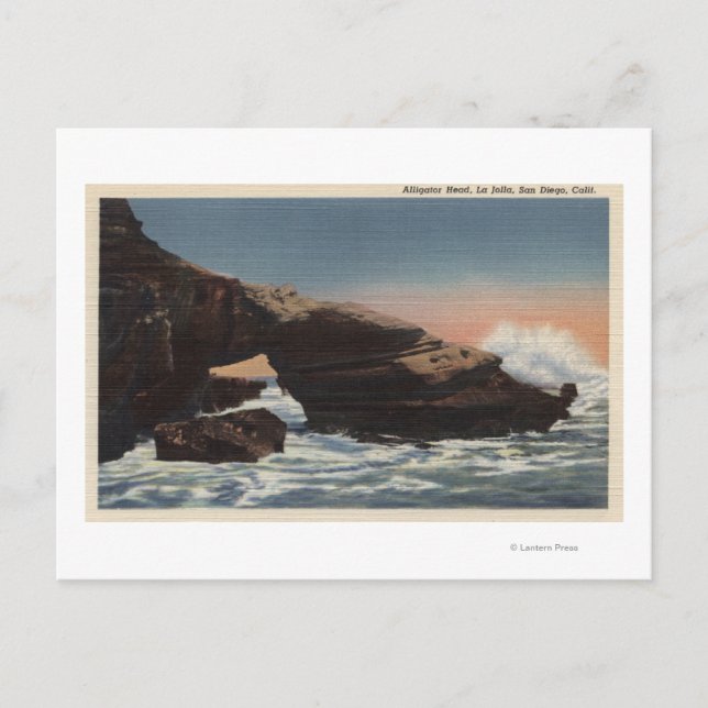 Aussicht auf Alligator Head, La Jolla Postkarte (Vorderseite)