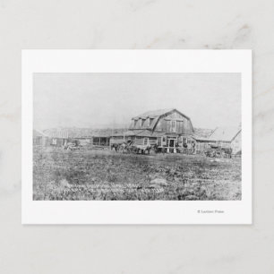 Aussicht auf das Original Occidental Hotel Postkarte