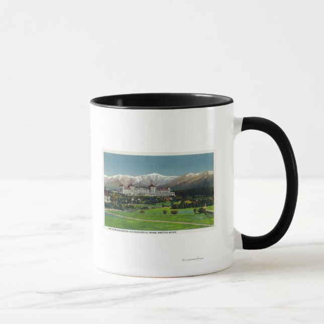 Aussicht auf das Washington Hotel, Präsidentenpala Tasse (Rechts)