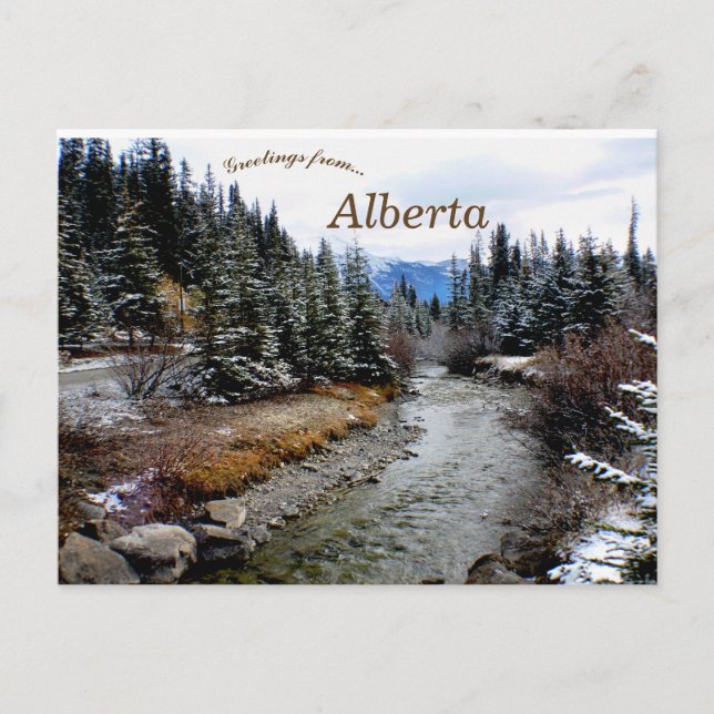 Aussicht auf den Bow River Alberta Kanada Postkarte (Vorderseite)