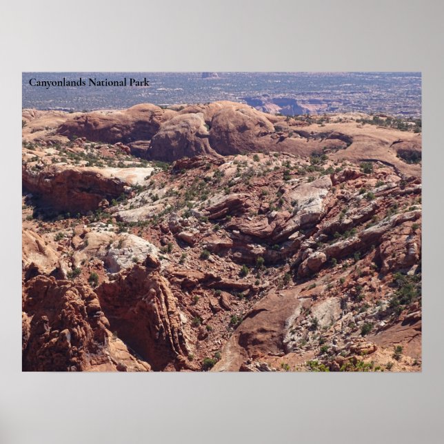 Aussicht auf den Canyonlands-Nationalpark Poster (Vorne)