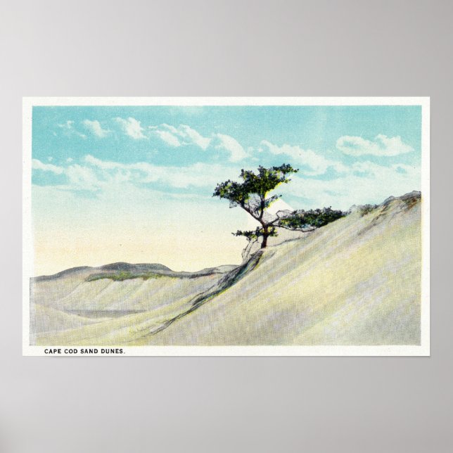 Aussicht auf den Dorothy Bradford Steamer Poster (Vorne)