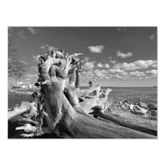 Aussicht auf den Hafen - Plymouth, Massachusetts Fotodruck