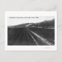 Aussicht auf den Hutchinson Celery Garden