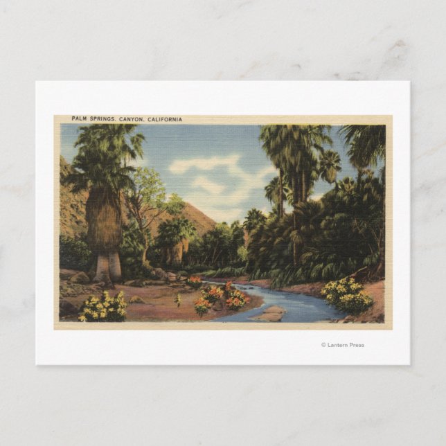 Aussicht auf den Palm Springs Canyon Postkarte (Vorderseite)