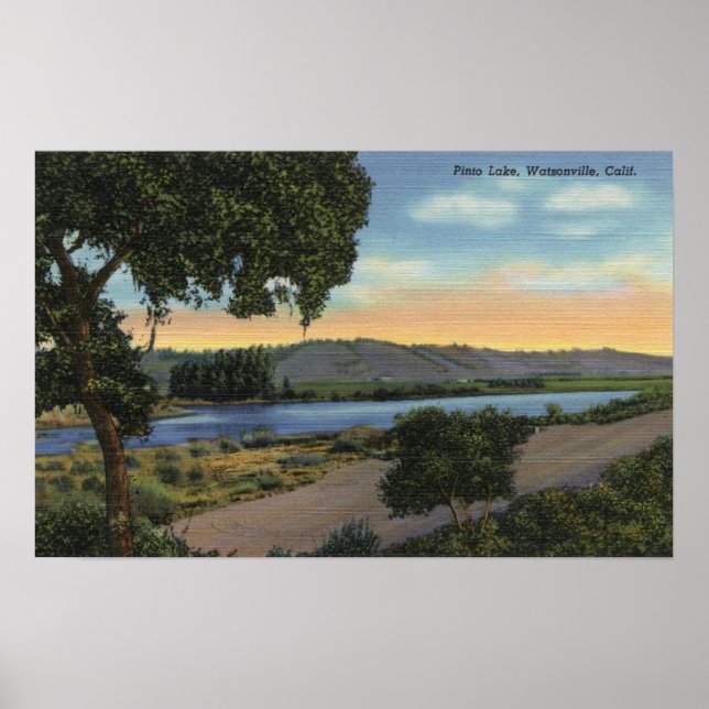 Aussicht auf den Pinto-See Poster (Vorne)