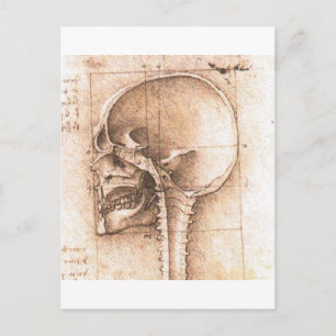 Aussicht auf den Schädel von Leonardo Da Vinci c. Postkarte