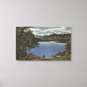 Aussicht auf den schönen Shasta-See Leinwanddruck