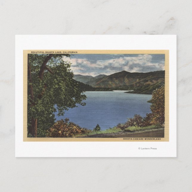 Aussicht auf den schönen Shasta-See Postkarte (Vorderseite)