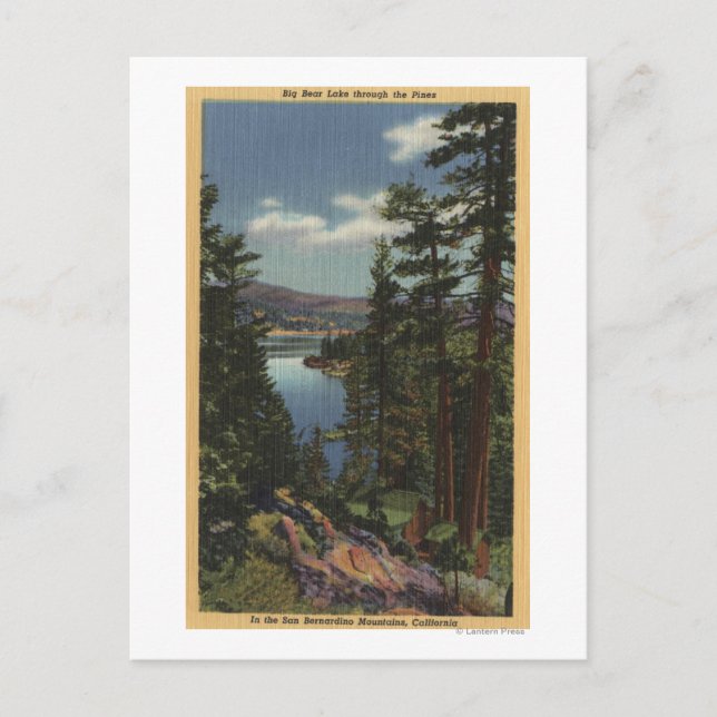 Aussicht auf den See durch die Pinien # 2 Postkarte (Vorderseite)