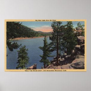 Aussicht auf den See durch die Pinien Poster