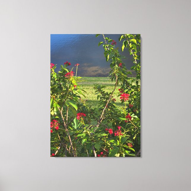 Aussicht auf den See Leinwanddruck (Vorderseite)