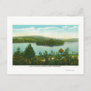 Aussicht auf den See Loon und die Insel Blythewood Postkarte