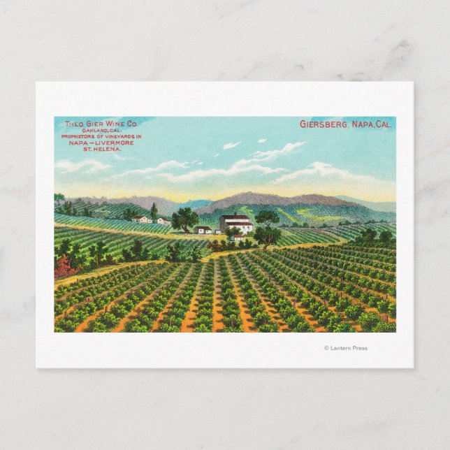 Aussicht auf den Weinberg GiersbergNapa, CA Postkarte (Vorderseite)
