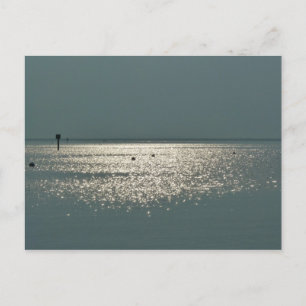 Aussicht auf die Bucht von Chesapeake Postkarte
