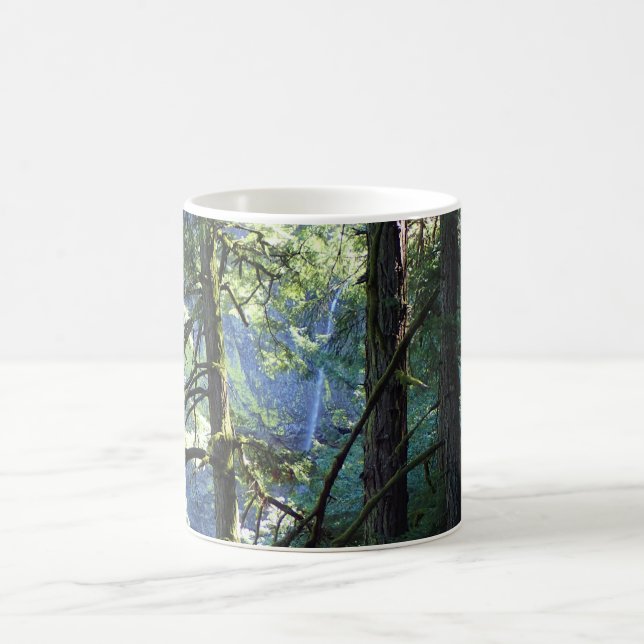 Aussicht auf die Elowah Falls, Oregon Kaffeetasse (Mittel)