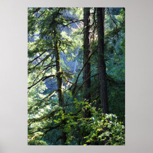 Aussicht auf die Elowah Falls, Oregon Poster
