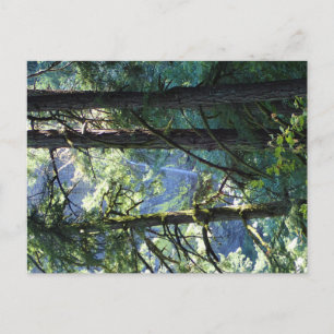 Aussicht auf die Elowah Falls, Oregon Postkarte