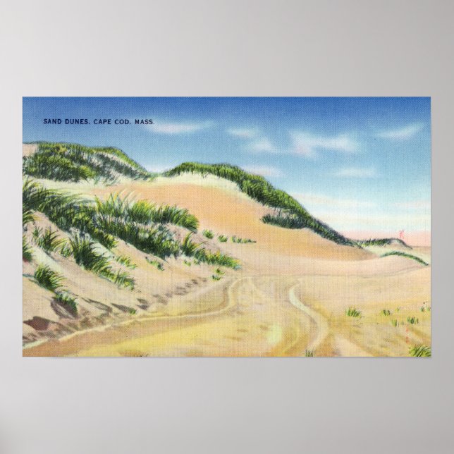 Aussicht auf die Kapuzenkühe und Dünen Poster (Vorne)