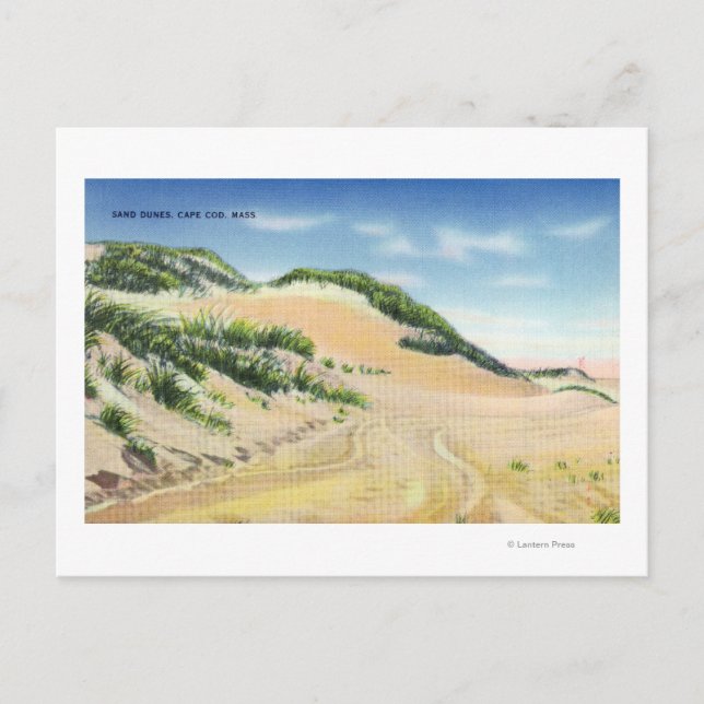 Aussicht auf die Kapuzenkühe und Dünen Postkarte (Vorderseite)