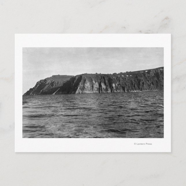 Aussicht auf die Königsinsel, Alaska-Foto Postkarte (Vorderseite)