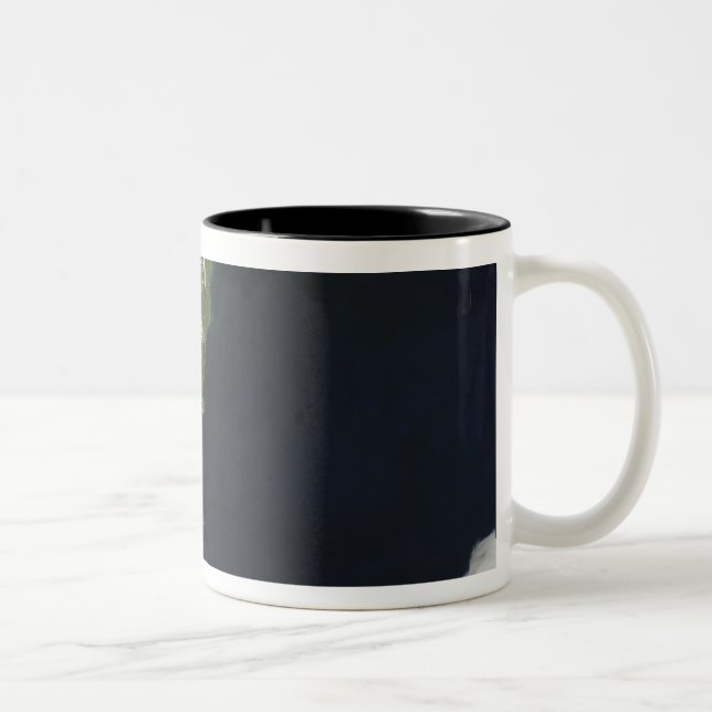Aussicht auf die meisten südlichen Inseln Neuseela Zweifarbige Tasse (Rechts)