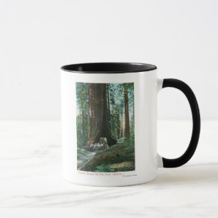 Aussicht auf die Pferdebeförderung im Wawona-Baum Tasse