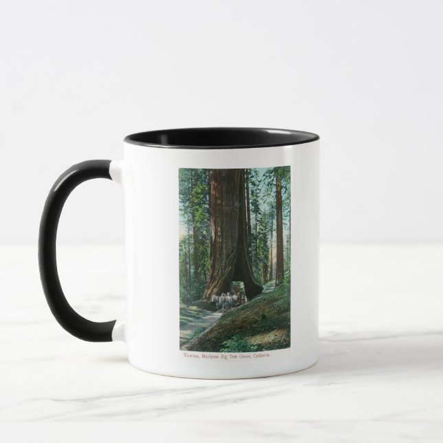 Aussicht auf die Pferdebeförderung im Wawona-Baum Tasse (Links)