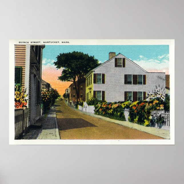 Aussicht auf die Quince Street Poster (Vorne)